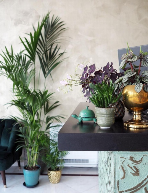 Hotel Sebel image 46